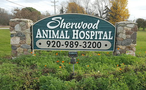 Sign for Sherwood Animal Hospital with phone number 920-989-3200, surrounded by grass and flowers, with trees and power lines in the background.