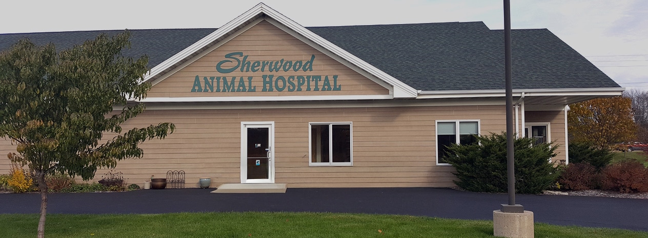 Sherwood Animal Hospital Office