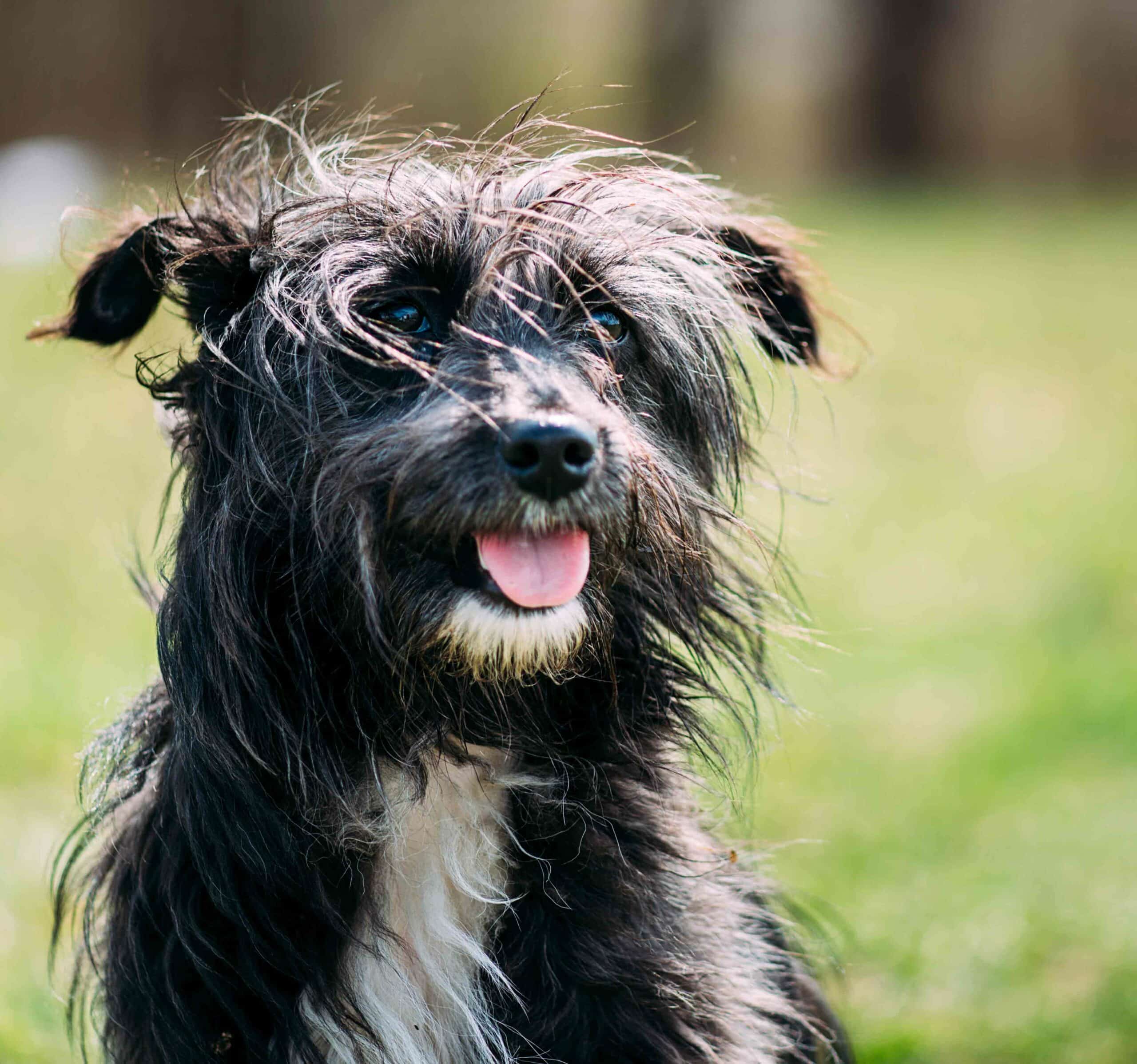 What Our Clients Are Saying